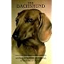 Dachshund