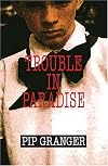 Trouble In Paradise