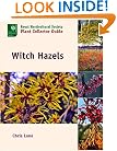 Witch Hazels (Royal Horticultural Society Plant Collector Guide)