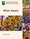 Books : Witch Hazels (Royal Horticultural Society Plant Collector Guide) (Royal Horticultural Society Plant Collector Guide)