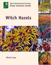 Witch Hazels (Royal Horticultural Society Plant Collector Guide)