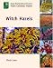 Book Witch Hazels (Royal Horticultural Society Plant Collector Guide)