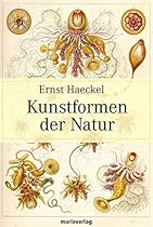 Kunstformen der Natur