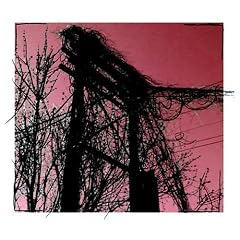 Accidents With Nature and Each Other