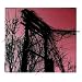 Accidents With Nature and Each Other