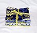 Delft Fabric Fat Quarter Bundle - 10 FQ