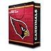 Arizona Cardinals Team Logo Gift Bag (Large)