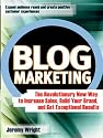 Blog Marketing: The Revolutionary New Way to Increase Sales, Build Your Brand, and Get Exceptional Results