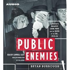 Public Enemies