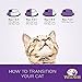 Wellness Healthy Indulgence Natural Grain Free Wet Cat Food, Turkey & Chicken, 3-Ounce Pouch (Pack Of 24)