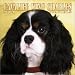 Book Cavalier King Charles Spaniels 2004 Calendar