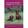 Homoeopathic Medicine for Dogs