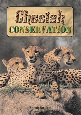 Cheetahs