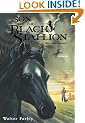 Son of the Black Stallion