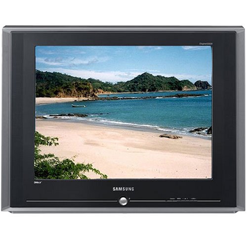 Samsung TXR2435 24 Dynaflat Analog TV
