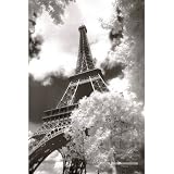 Eiffel Tower (Parc du Champ de Mars) Art Poster Print – 24×36 Poster Print, 24×36 5195ePppnRL. SL160 University of Georgia (Logo) NCAA Sports Poster Print 24x36 Reviews