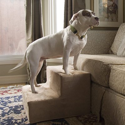 portable pet steps