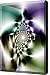 Flagrant Distortion Canvas Print - Canvas Art