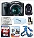Canon PowerShot SX500 IS + Battery + Case + 16GB + Flexpod + Cleaning Kit