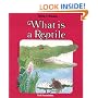 What Is A Reptile - Pbk (Now I Know)