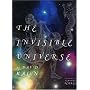 The Invisible Universe