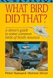 What Bird Did That?: A Drivers Guide to Some Common Birds of North America