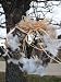 Wild Bird Nesting Material Wreath