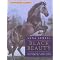 Books for horse lovers