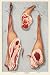 Art Poster, Mutton - 18.75 x 27.5