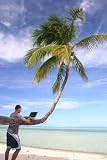 Computer Work under the Palm - 24H x 16W - Peel and Stick Wall Decal by Wallmonkeys