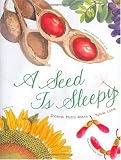 A Seed Is Sleepy
