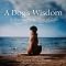 Eleven Inspirational Dog Books