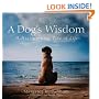 A Dog's Wisdom: A Heartwarming View of Life