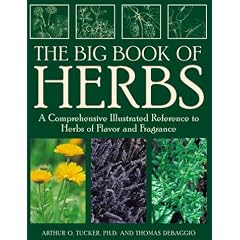 The Big Book of Herbs: A Comprehensive Illustrated Reference