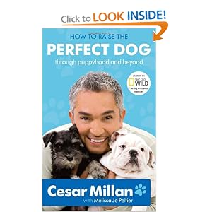 How to Raise the Perfect Dog: Through Puppyhood and Beyond