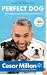 How to Raise the Perfect Dog: Through Puppyhood and Beyond