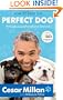 How to Raise the Perfect Dog: Through Puppyhood and Beyond