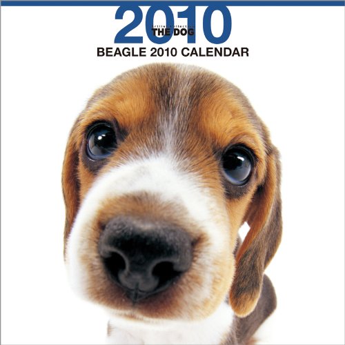 THE DOG ビーグル 2010年 カレンダー