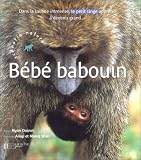 B�b� babouin