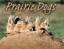 Prairie Dogs: Animal Prey