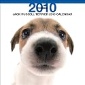 Jack Russell Terrier (Bt Artlist) 2010 Wall