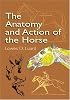 The Anatomy and Action of the Horse (Dover Art Instruction)