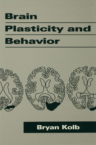 Brain Plasticity and Behavior (Distinguished Lecture Series)