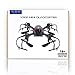 TEC.BEAN X902 Spider Mini RC Quadcopter Drone with 3D Flip 2.4Ghz 6-Axis Gyro for Beginner, Black