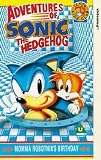 Picture Of Adventures Of Sonic The Hedgehog - Momma Robotnik's Birthday