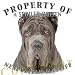 Neapolitan Mastiff Mousepad Dog Mouse Pad Property Of