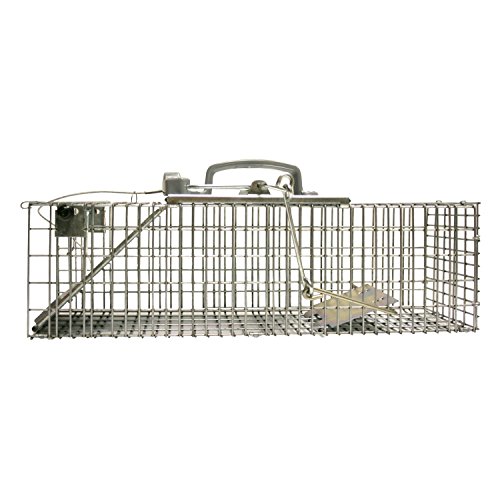 Havahart Easy Set Small 1Door Animal Trap for Rats and Small Squirrels  1082 ,  eBay