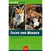 Fuchs und Marder: Erfolgreich bejagen