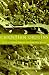 Books : Christian Origins: Theology, Rhetoric and Community