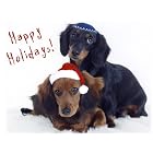 Pet Star Interfaith Cards - Dachshunds by  Pet Star Photography